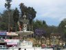 IMG_0202.JPG - 